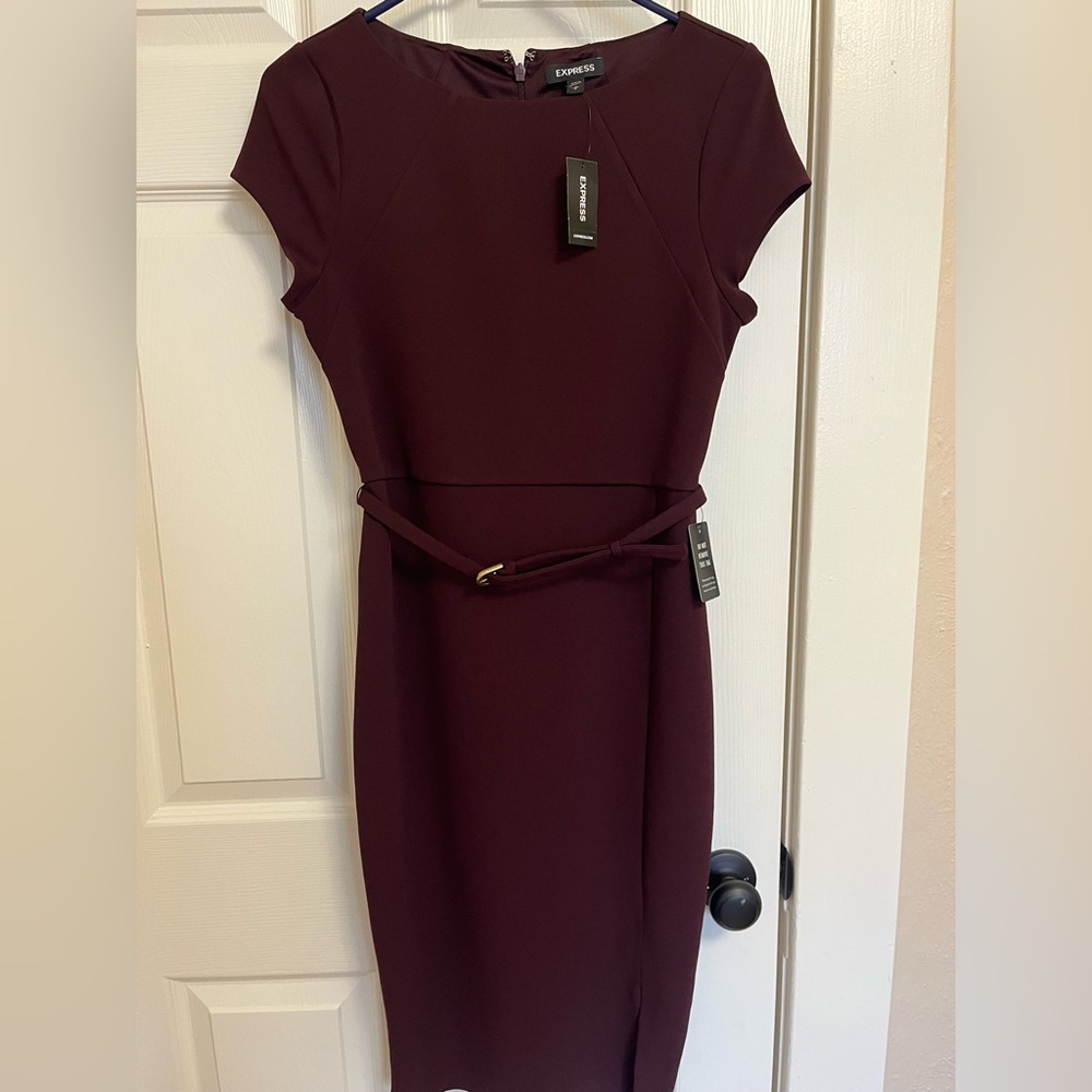 Express Purple Dress
